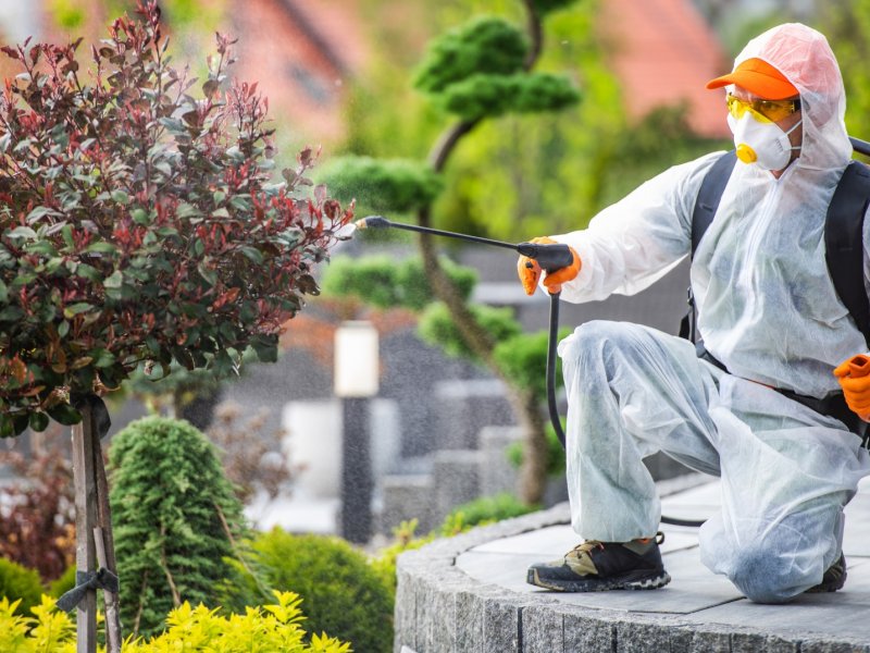 Yıkıkkemer Haşere İlaçlama